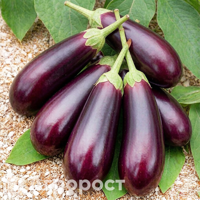 Баклажан Алмаз