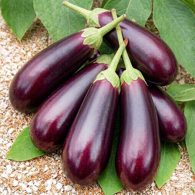 Баклажан Алмаз