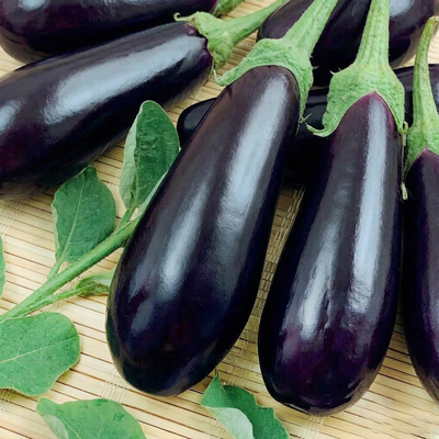 Баклажан Галич