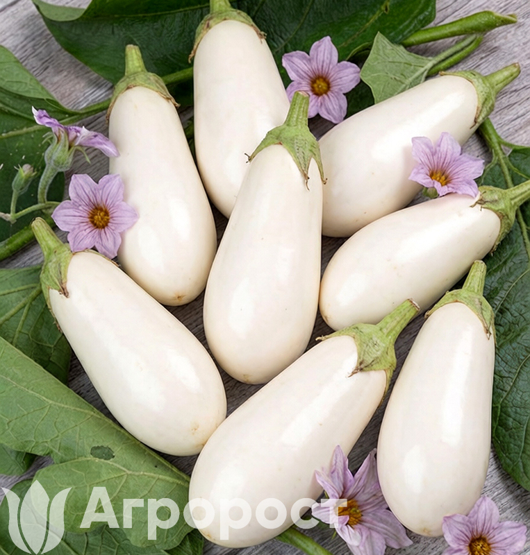 Баклажан  Умка