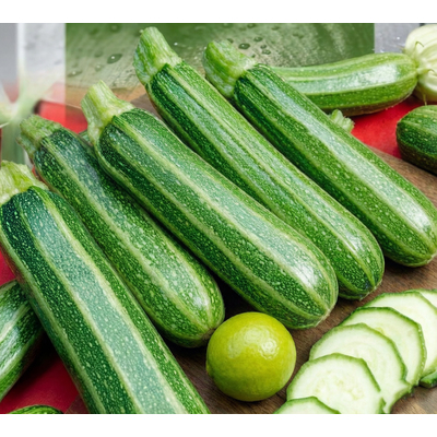 Кабачок Зебра