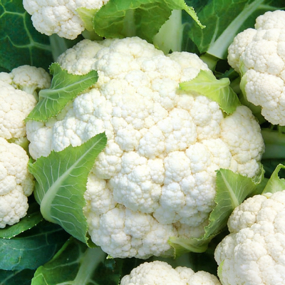 Капуста цветная Сноуболл 123