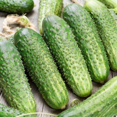 Огурец Родничок