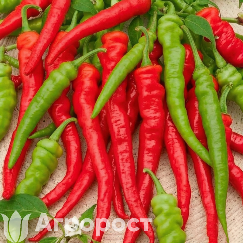 Перец острый Бараний рог