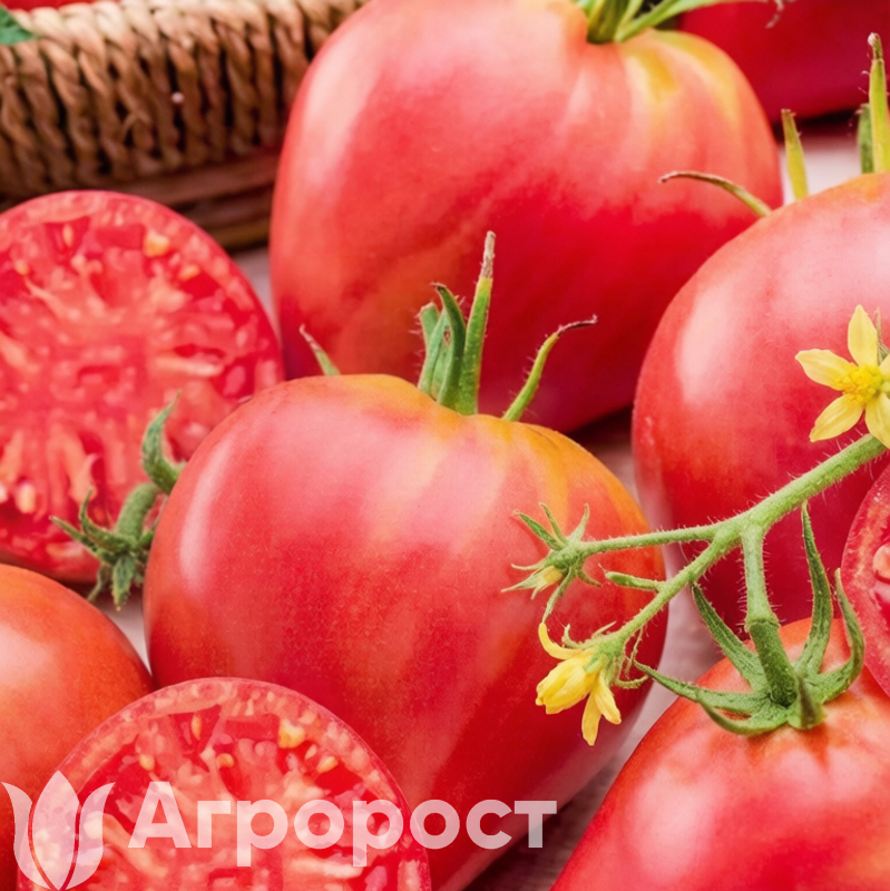 Томат Бычье сердце