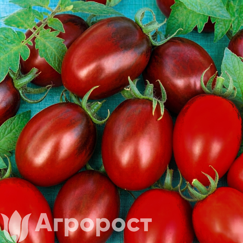 Томат Де Барао черный