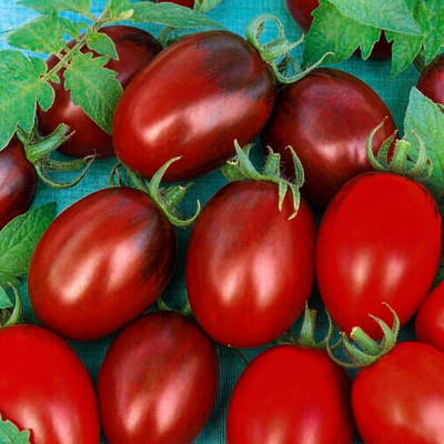 Томат Де Барао черный