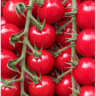 Томат черри Мальвина