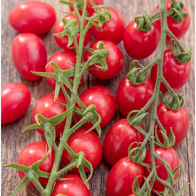 Томат черри Малиновый фонтан