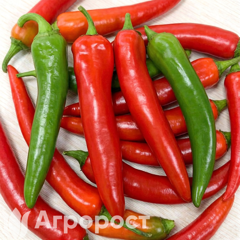 Перец острый Астраханский