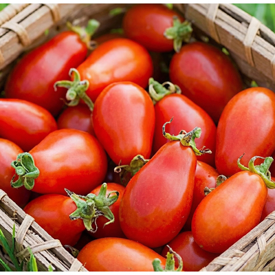 Томат Транс Рио
