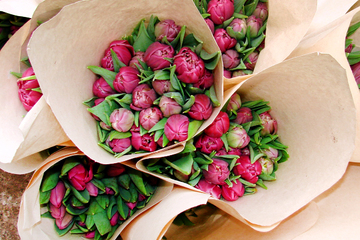 DSC01309  копия.JPG